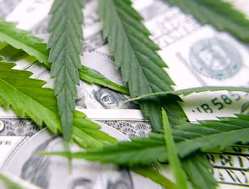 legal marijuana market