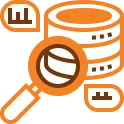 IT Needs Infrastructure Assessment icon