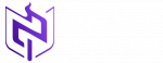 Next Perimeter Official Logo